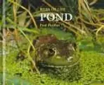 Cover image for Pond