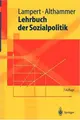 Cover image for Lehrbuch der Sozialpolitik (Springer-Lehrbuch)