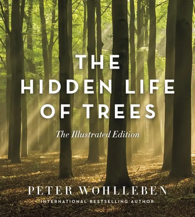 The hidden life of trees: the illustrated edition cover