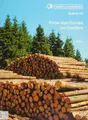 Cover image for Price Size Curves for Conifers (Bulletin)