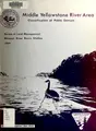 Cover image for Land planning and classification report of the public domain lands in the middle Yellowstone River area, Montana