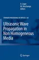 Cover image for Ultrasonic Wave Propagation in Non Homogeneous Media