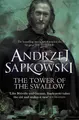 Cover image for The Tower of Swallows
