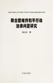 Cover image for Lian he guo wei chi he ping xing dong fa lü yan jiu