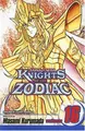 Cover image for Knights Of The Zodiac, Volume 16 (Knights of the Zodiac)