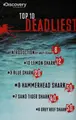 Cover image for Top 10 deadliest sharks