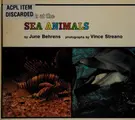 Cover image for Look at the sea animals
