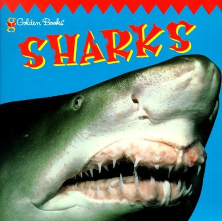 Sharks (Look-Look) cover