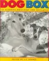 Cover image for Dog Box 24 Assorted Notecards And Envelopes (Notecards)