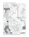 Cover image for Conservation status of Lomatium attenuatum Evert (Apiaceae) in Montana