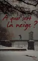 Cover image for A quoi sert la neige?