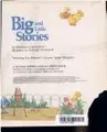 Cover image for Big and little stories