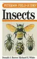 Cover image for A field guide to insects