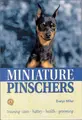 Cover image for Miniature Pinschers (KW)