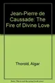 Cover image for The Fire of Divine Love