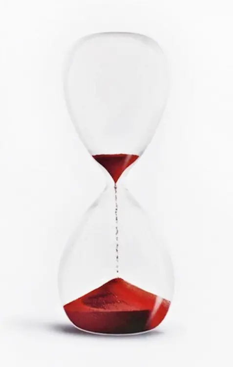 The Short Second Life of Bree Tanner cover