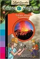 Cover image for Les carnets de la cabane magique, Tome 13