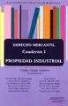 Cover image for Derecho Mercantil. Propiedad Industrial. Cuaderno Prácticos Bolonia I.