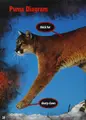 Cover image for Pumas