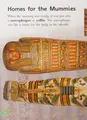 Cover image for All about Mummies