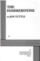 Cover image for The hammerstone