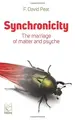 Cover image for Synchronicity :