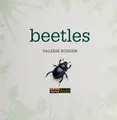 Cover image for Beetles