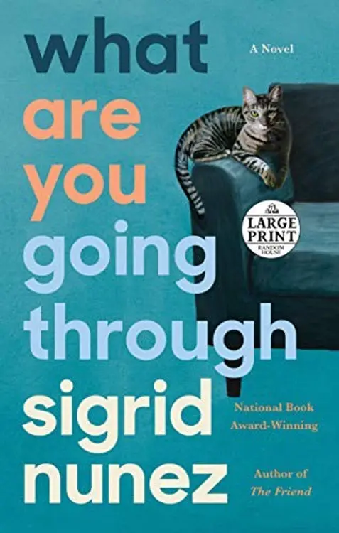 What Are You Going Through: A Novel cover