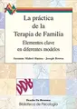 Cover image for La práctica de la terapia de familia