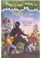 Cover image for Night of the Ninjas
