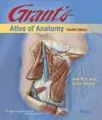 Cover image for Grant's Atlas of Anatomy (Grant, John Charles Boileau//Grant's Atlas of Anatomy)