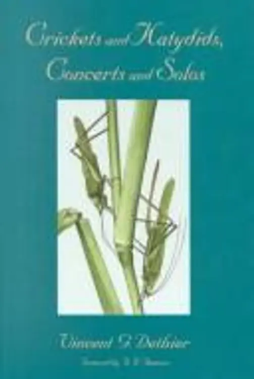Crickets and katydids, concerts and solos cover