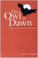 Cover image for The owl at dawn