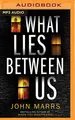 Cover image for What Lies Between Us