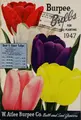 Cover image for Burpee's bulbs for fall planting, 1947