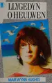 Cover image for Llygedyn O Heulwen
