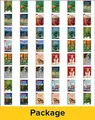 Cover image for Inspire Science Grade 2, Leveled Reader Class Set, 1 Each of 48 Books