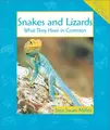 Cover image for Snakes and Lizards
