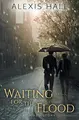 Cover image for Waiting for the Flood
