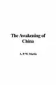 Cover image for The Awakening of China