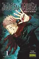 Cover image for JUJUTSU KAISEN 01