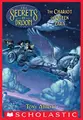 Cover image for The Chariot of Queen Zara (The Secrets of Droon #27)
