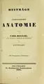 Cover image for Beiträge zur pathologischen Anatomie