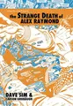 Cover image for Strange Death of Alex Raymond