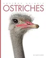 Cover image for Ostriches