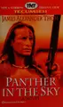 Cover image for Panther in the sky
