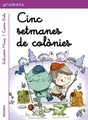 Cover image for Cinc setmanes de colònies