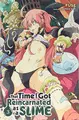 Cover image for That Time I Got Reincarnated as a Slime, Vol. 3 (Light Novel)
