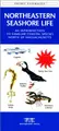 Cover image for Northeastern Seashore Life