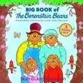 Cover image for Big Book of The Berenstain Bears (Berenstain Bears (Random House Hardcover))